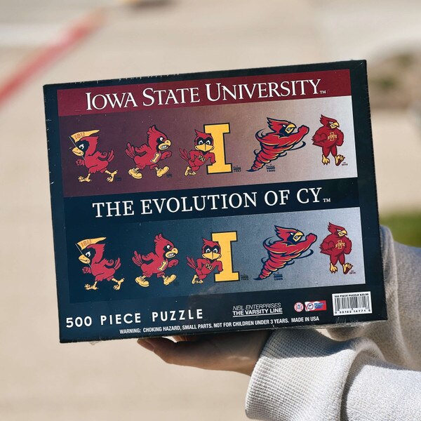 Evolution of Cy 500 Piece Puzzle